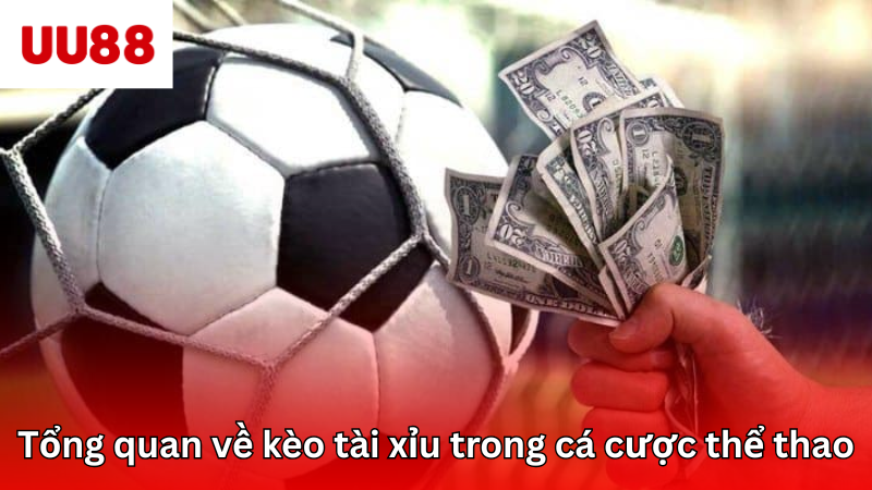 Tổng quan về kèo cược tài xỉu trong cá cược thể thao