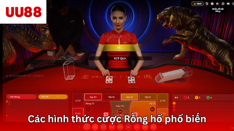 Các hình thức cược Rồng hổ phổ biến